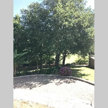 Porto-braga Country Side - Private Swimming Pool Ferienhaus *